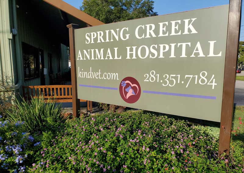 Carousel Slide 4: Learn more about us