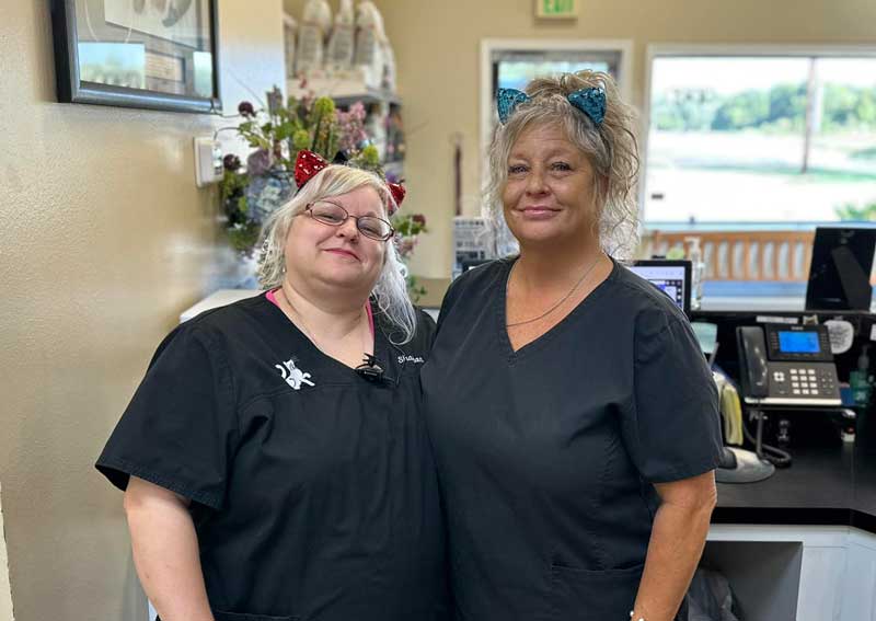 Carousel Slide 6: Meet our amazing veterinary team